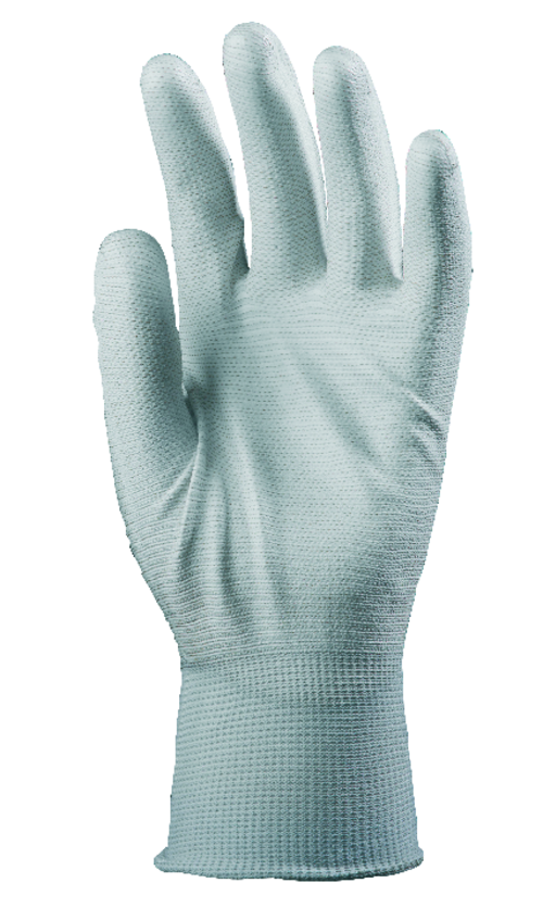 Taille 10 image