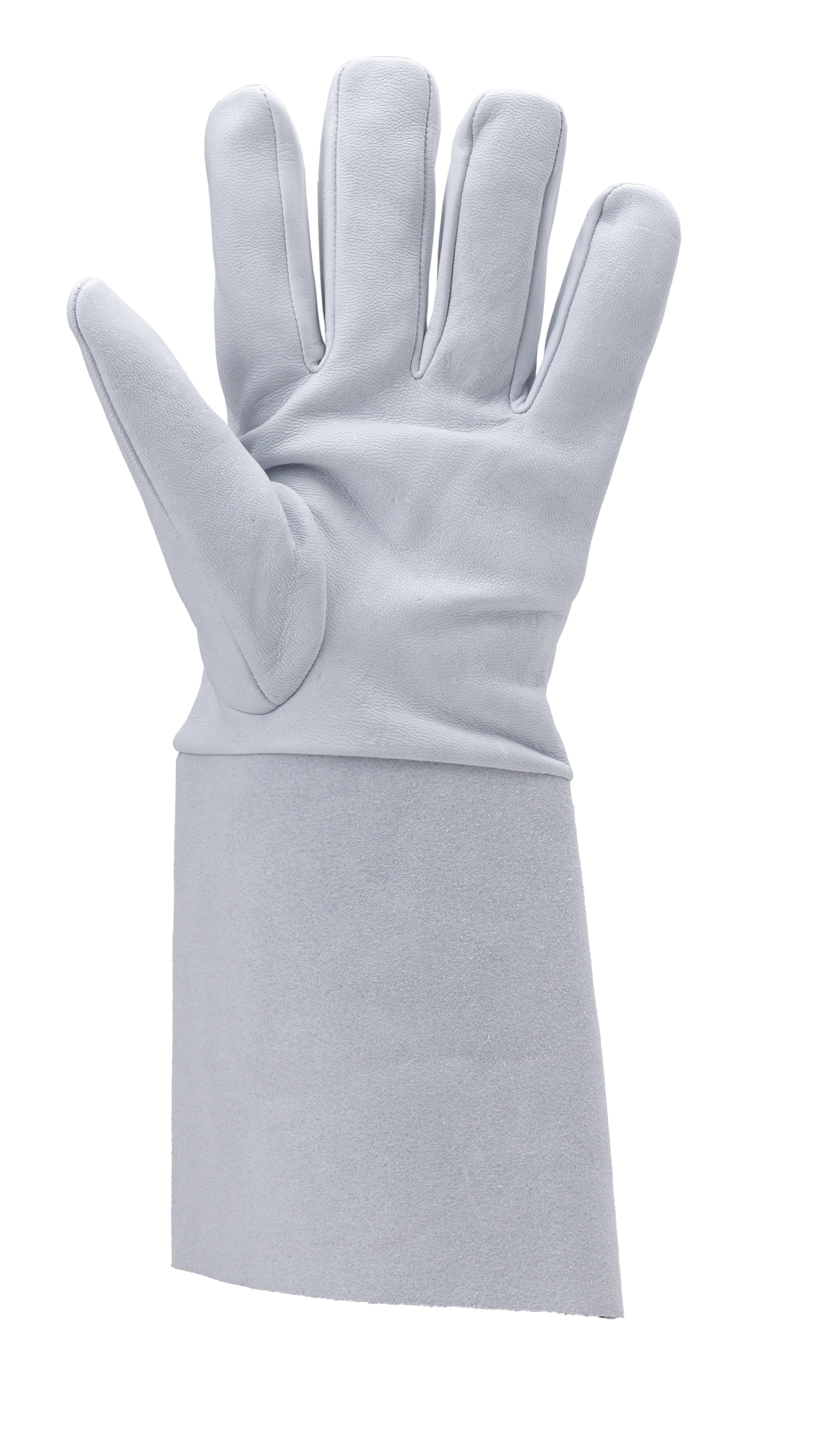 Taille 10 image
