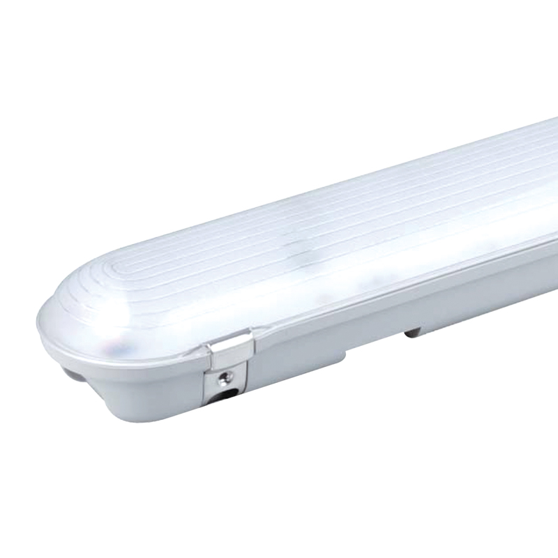 Boite de 4 tubes étanches LED intégrées TAGE image