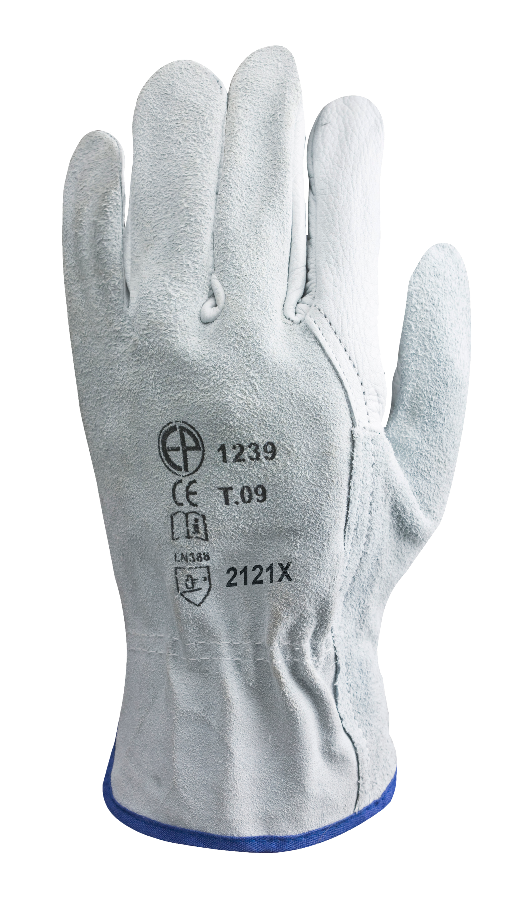 Taille 8 image