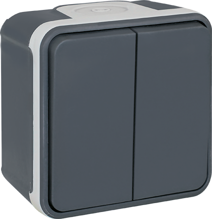 Double va et vient saillie 10A gris - IP55 - OXXO image