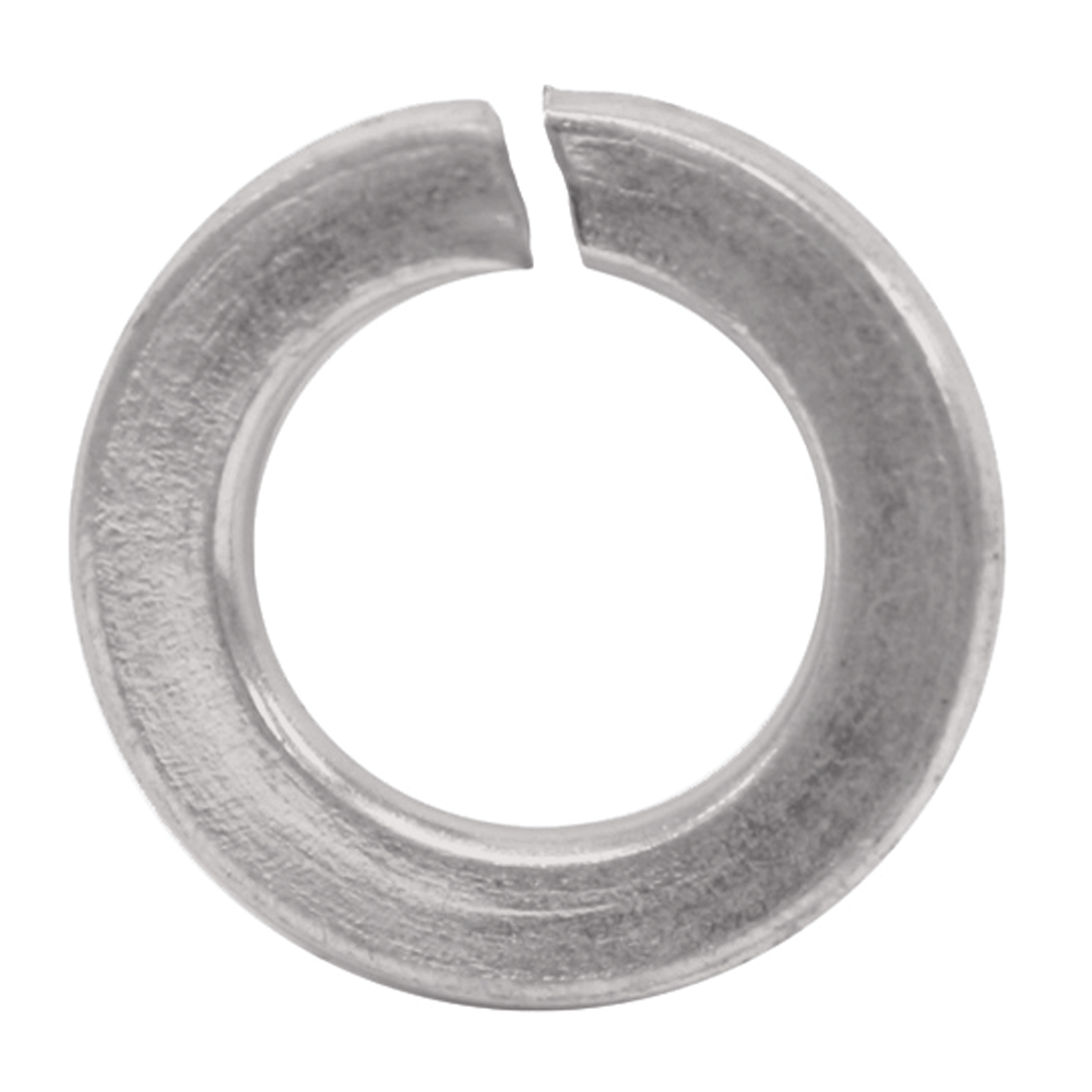 Rondelle Grower - Inox A2 image