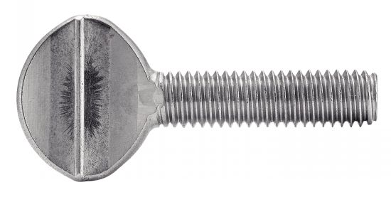 Vis violon - Inox A2 image