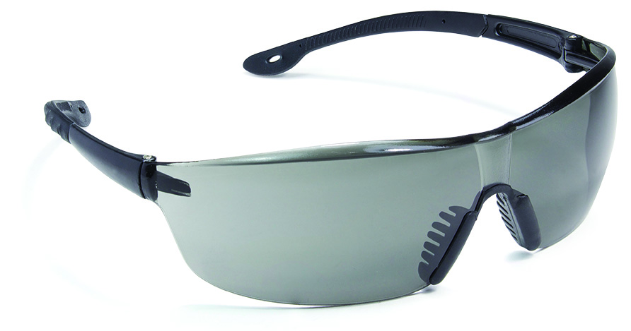 Lot de 10 - Lunettes de protection RHO image