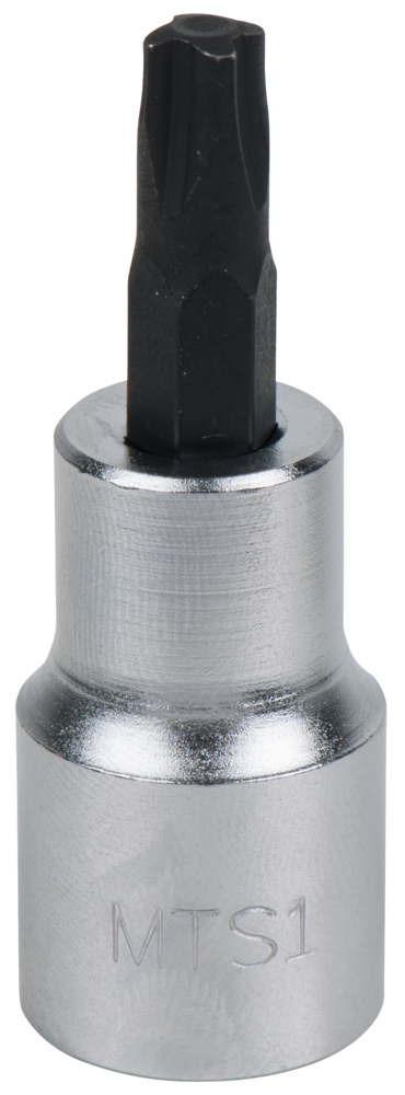MTS1 image