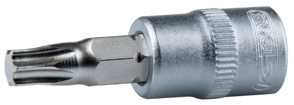 T10 image